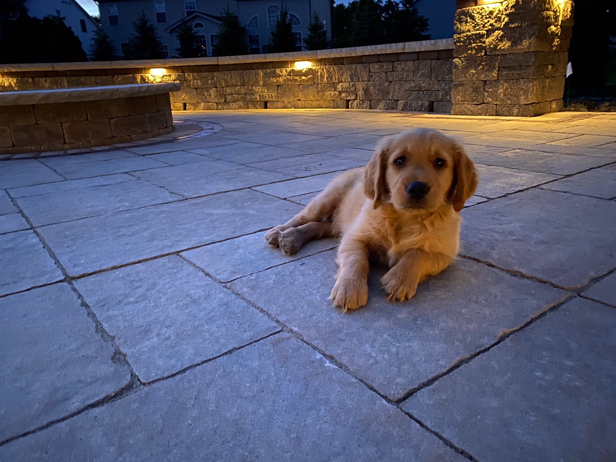 Building Lasting Relationships with Avon Landscaping