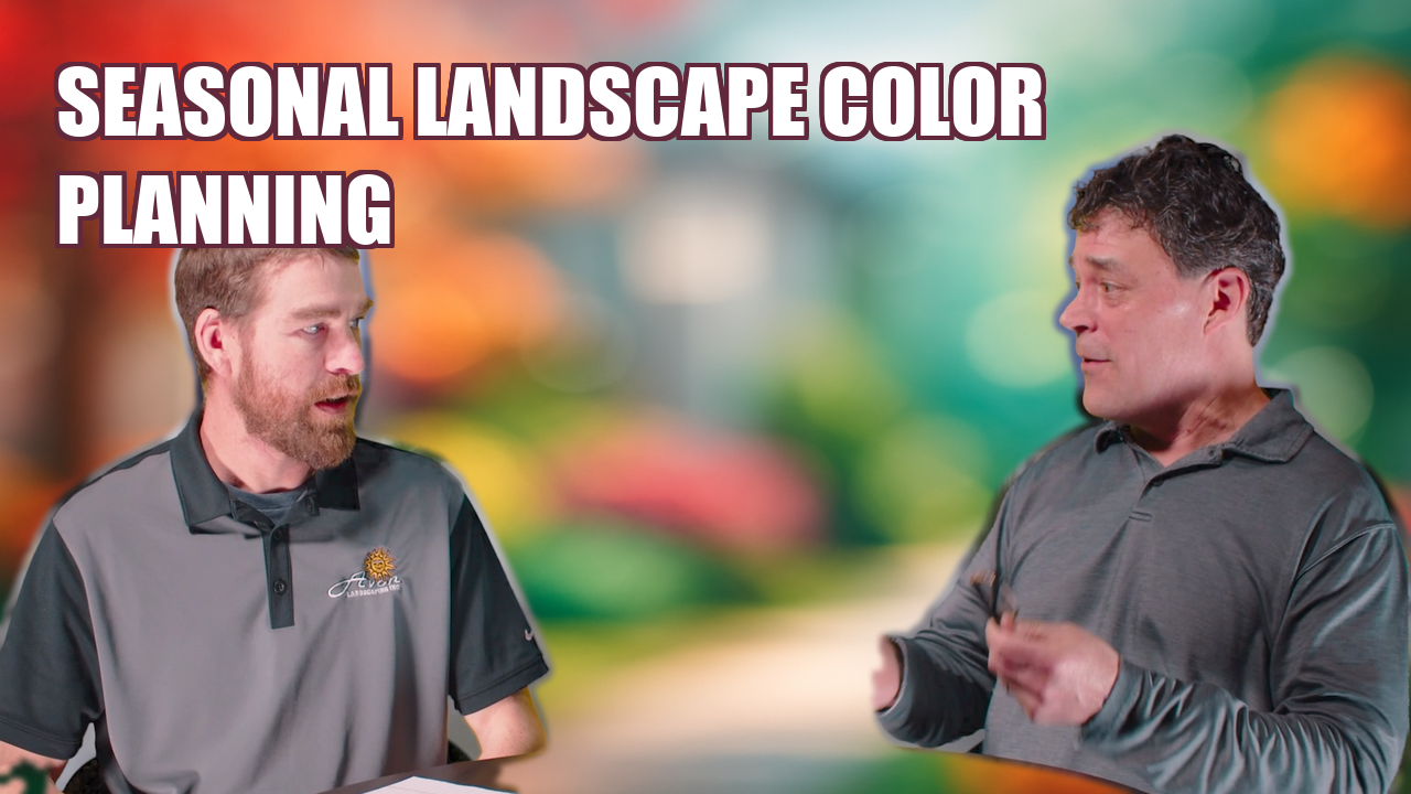 Year Round Landscape Color: How We Design Four Season Curb Appeal