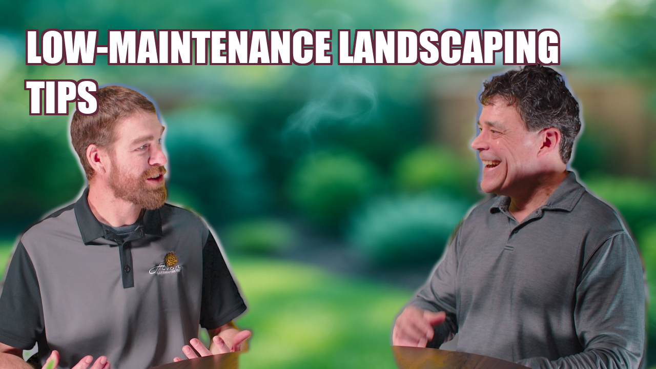 Low Maintenance Landscaping That Fits Your Life