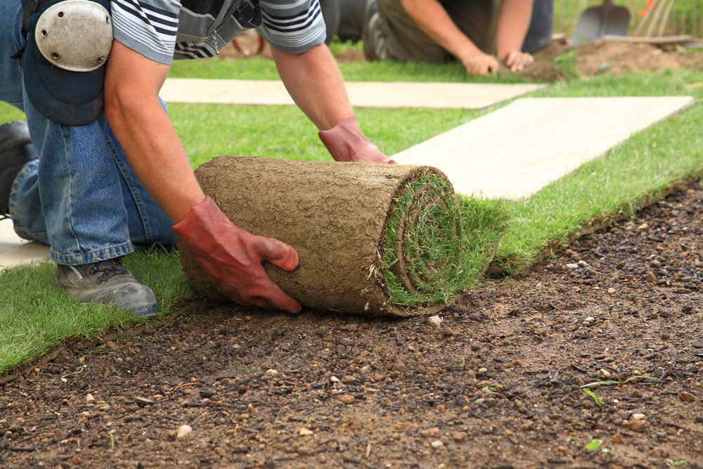 fisher landscaping