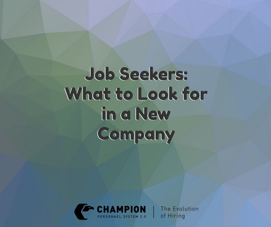 Job Seekers: What to Look for in a New Company