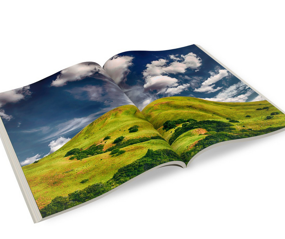 Affordable Brochures for Your Business