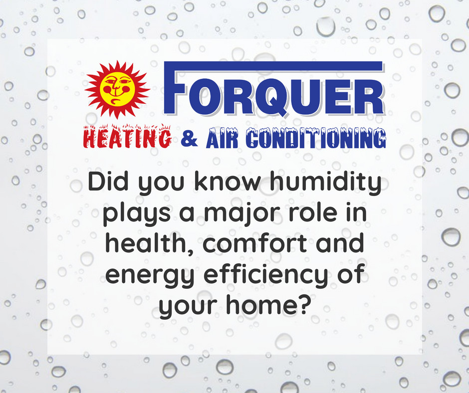 How To Create A Comfortable Humidity Level For Your Home