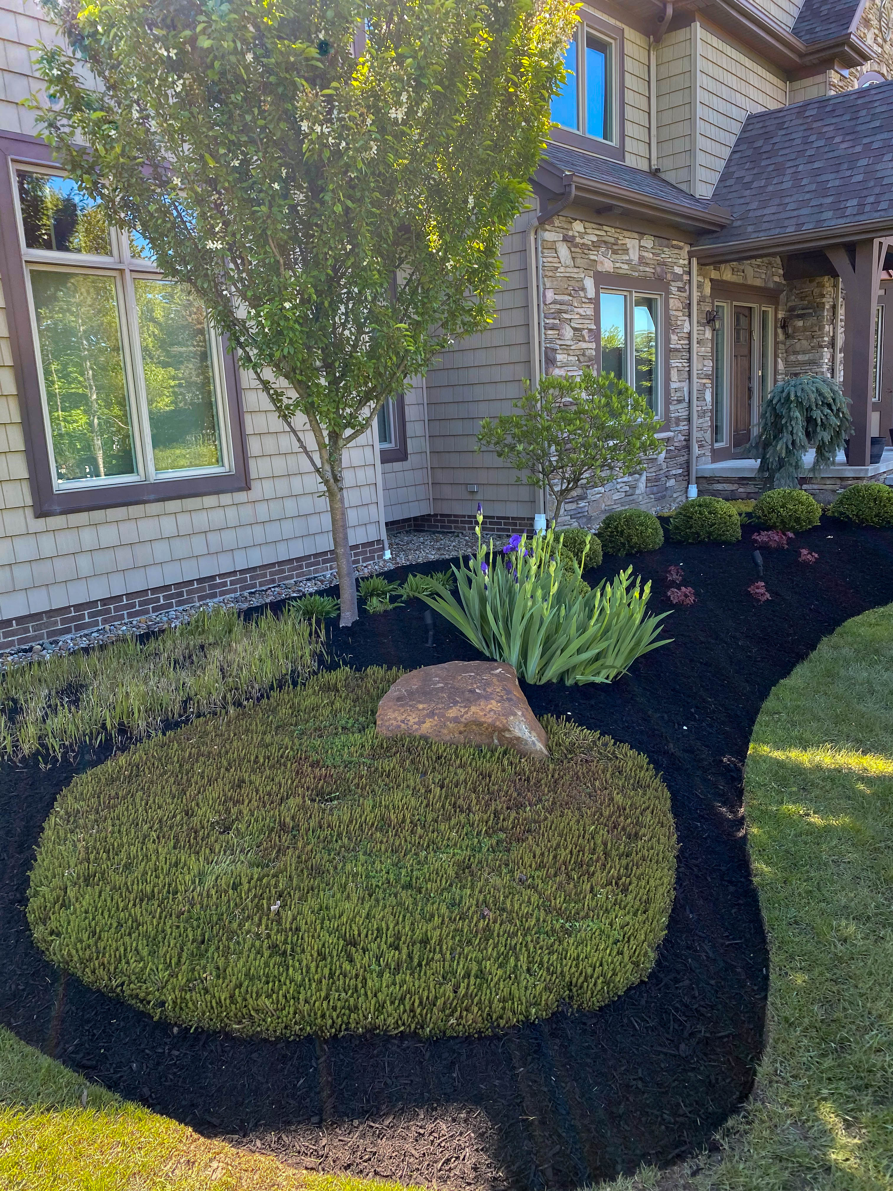 Landscape design in front garden bed around tree