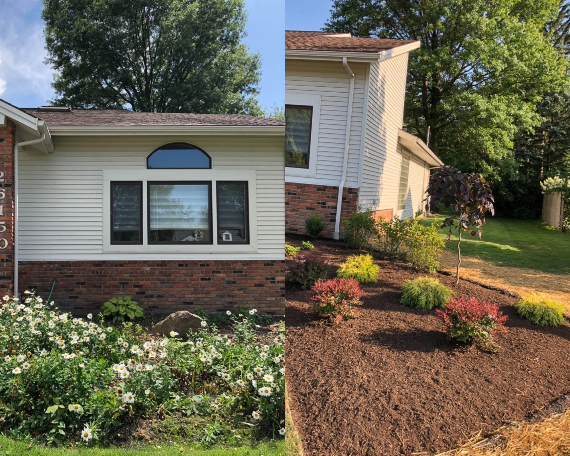 Before and After of a front lawn landscaping design