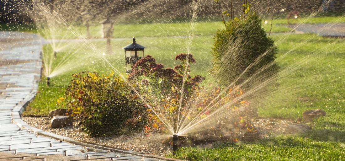 Sprinkler system going off in front yard