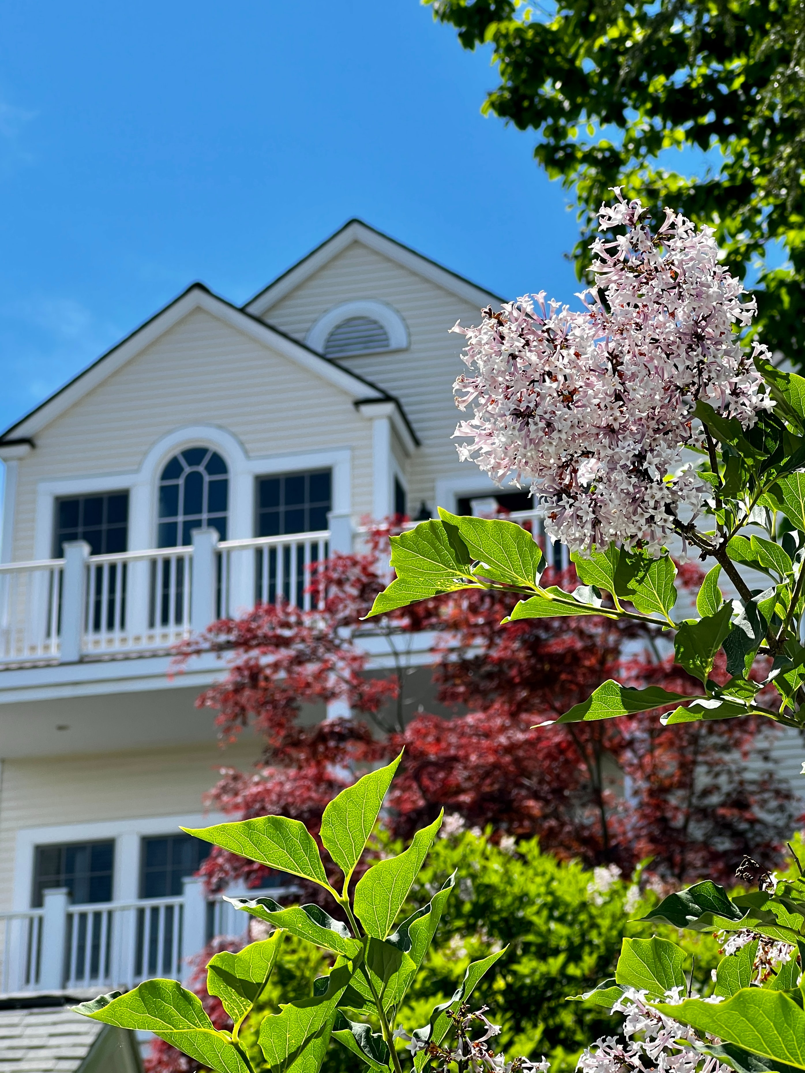 How to Boost Your Curb Appeal During Summer