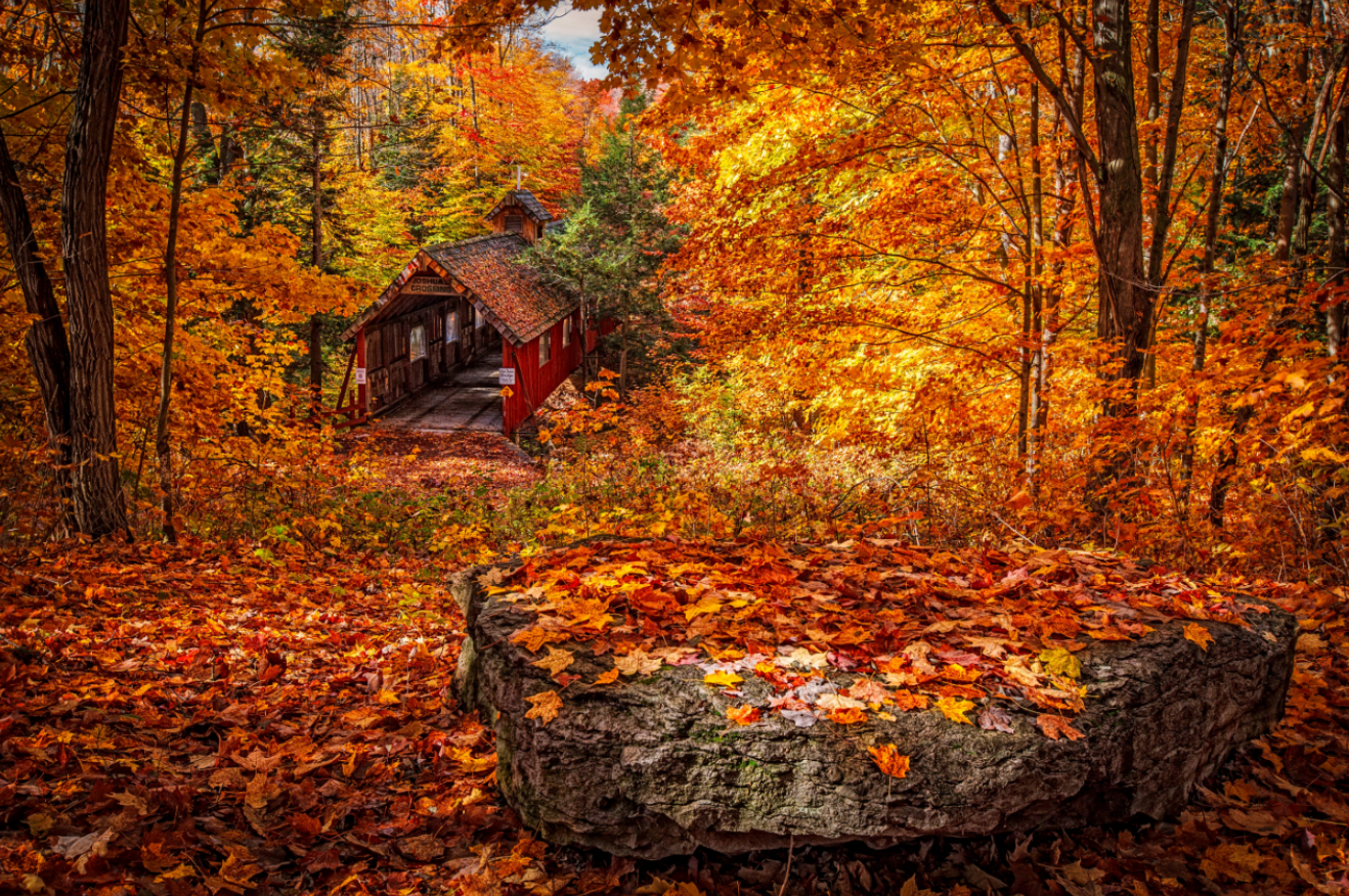 Is Fall a Good Time to Buy or Sell a Home 