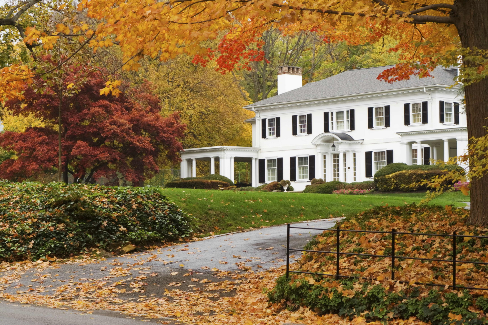 Fall Home Decor Trends