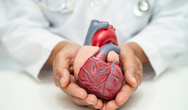 Understanding COPD and Its Impact on the Cardiovascular System