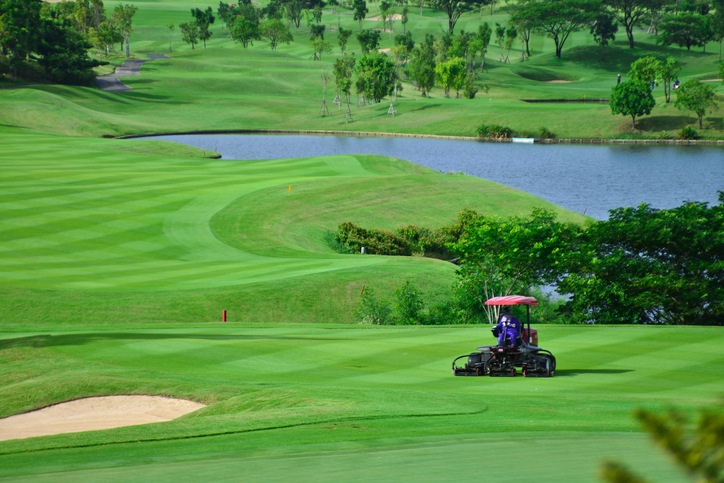 Precision Brush; Turf Brushes