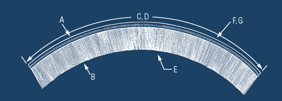 Design a Inside Curve Brush