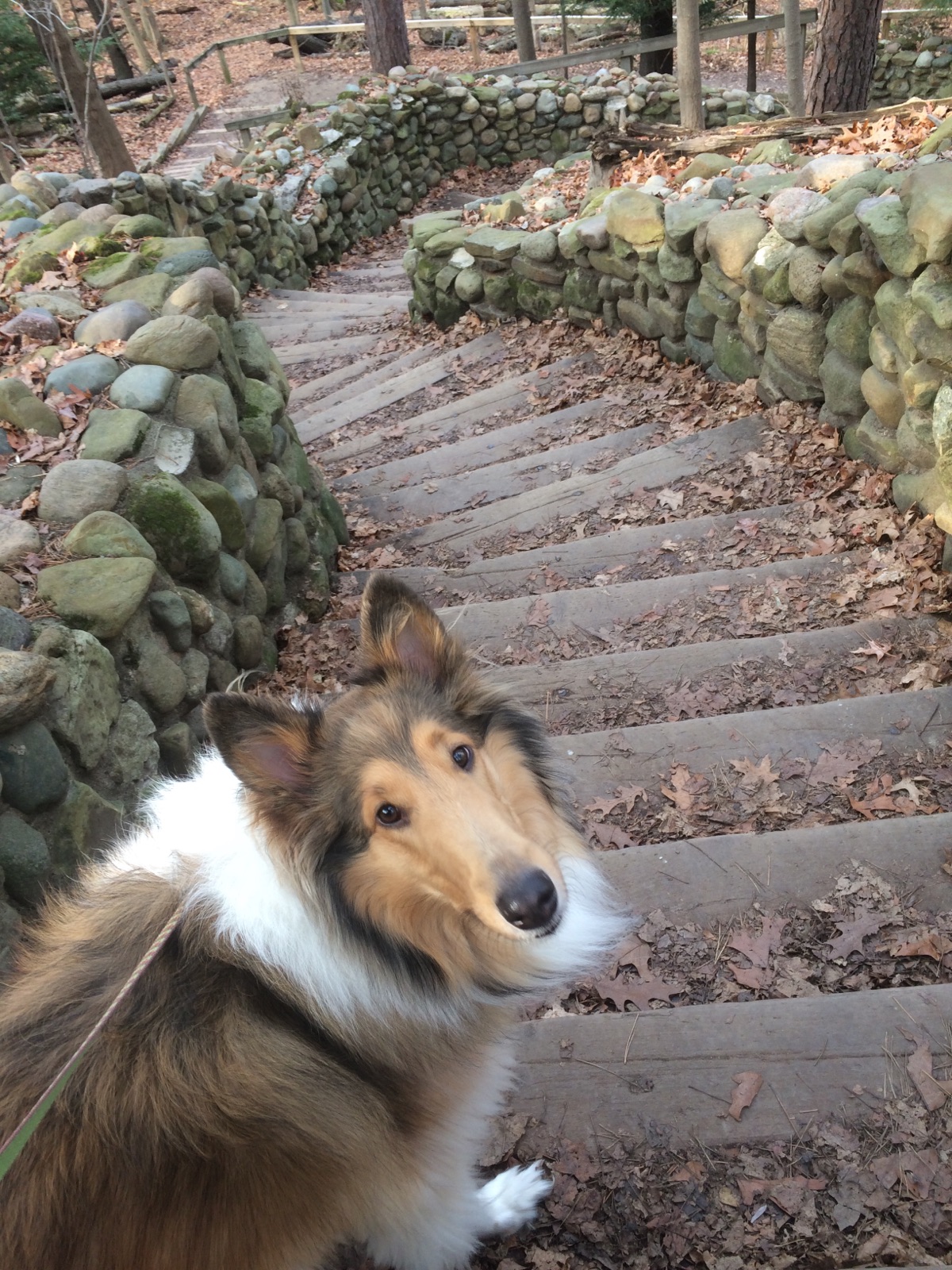 Bea on Steps 