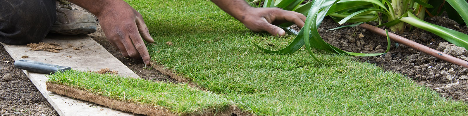 Get Lawn Care Services In Euclid From Double Rr Construction