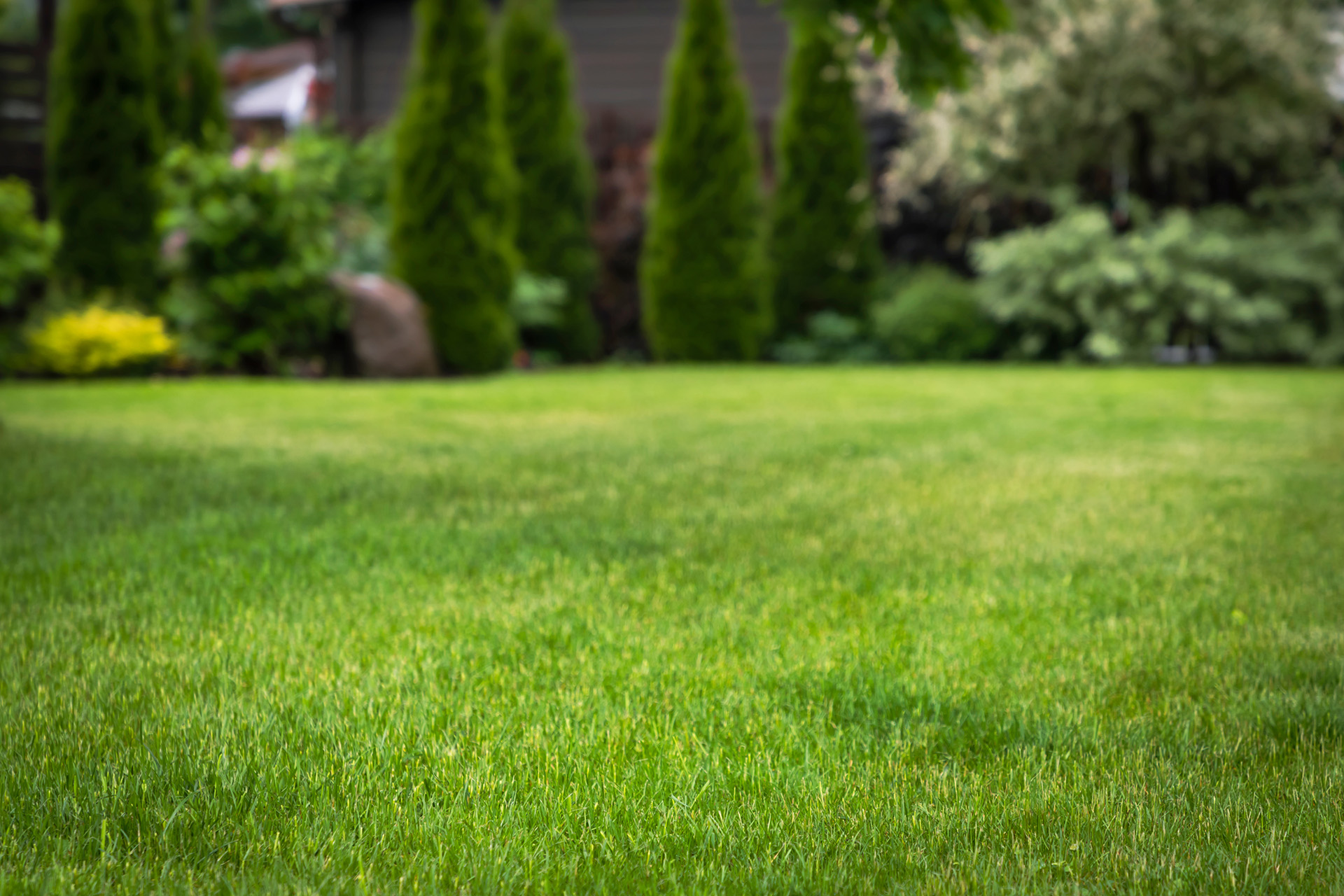 Secrets You Need to Know About Northeast Ohio Lawn Aeration