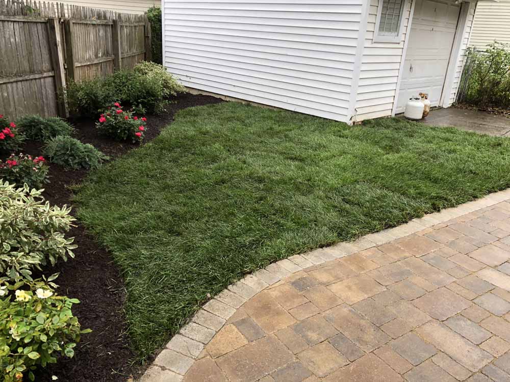 Get Your Yard Ready for Summer with Our One Day Landscape Makeover