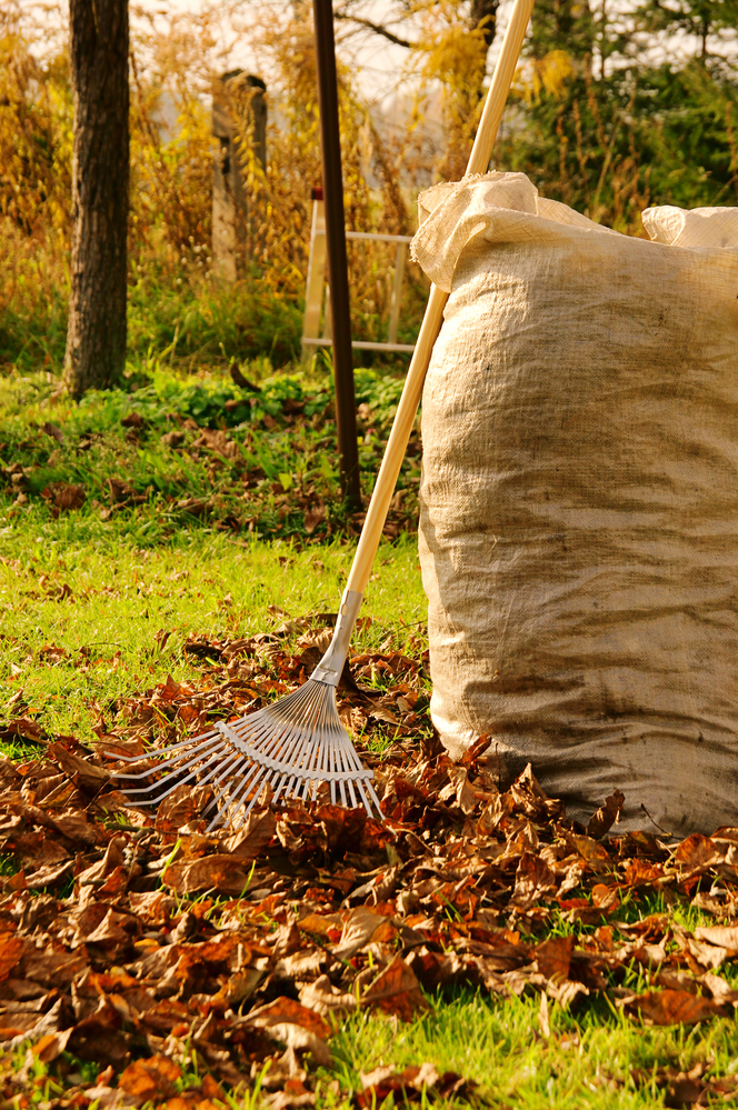 Fall Clean Ups Boost Your Lawns Health (and Saves You Money)