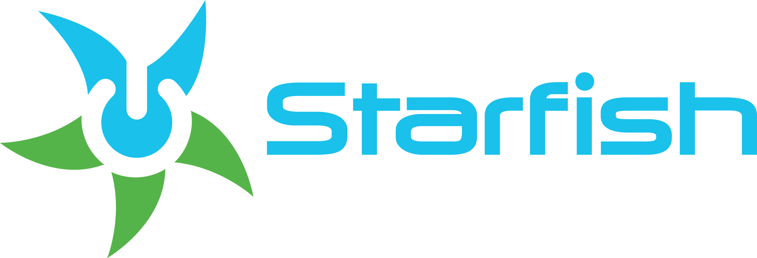 Starfish Computer Corporation Logo