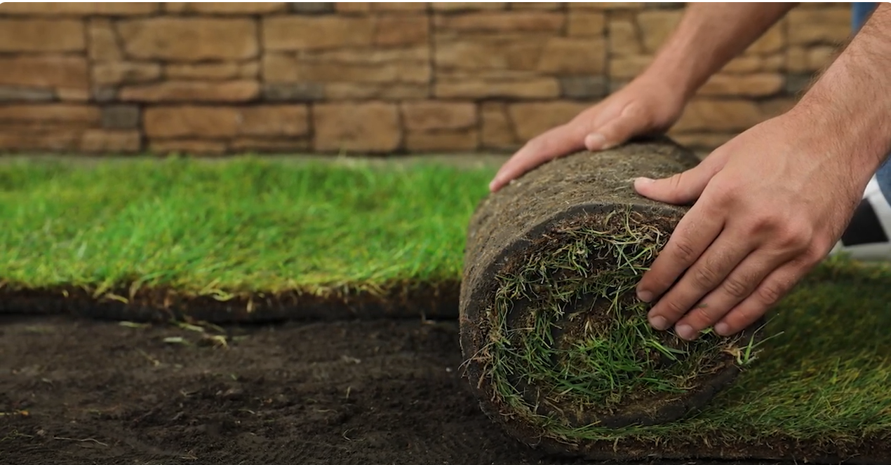 Instant Lawn Transformation with Sod Installation