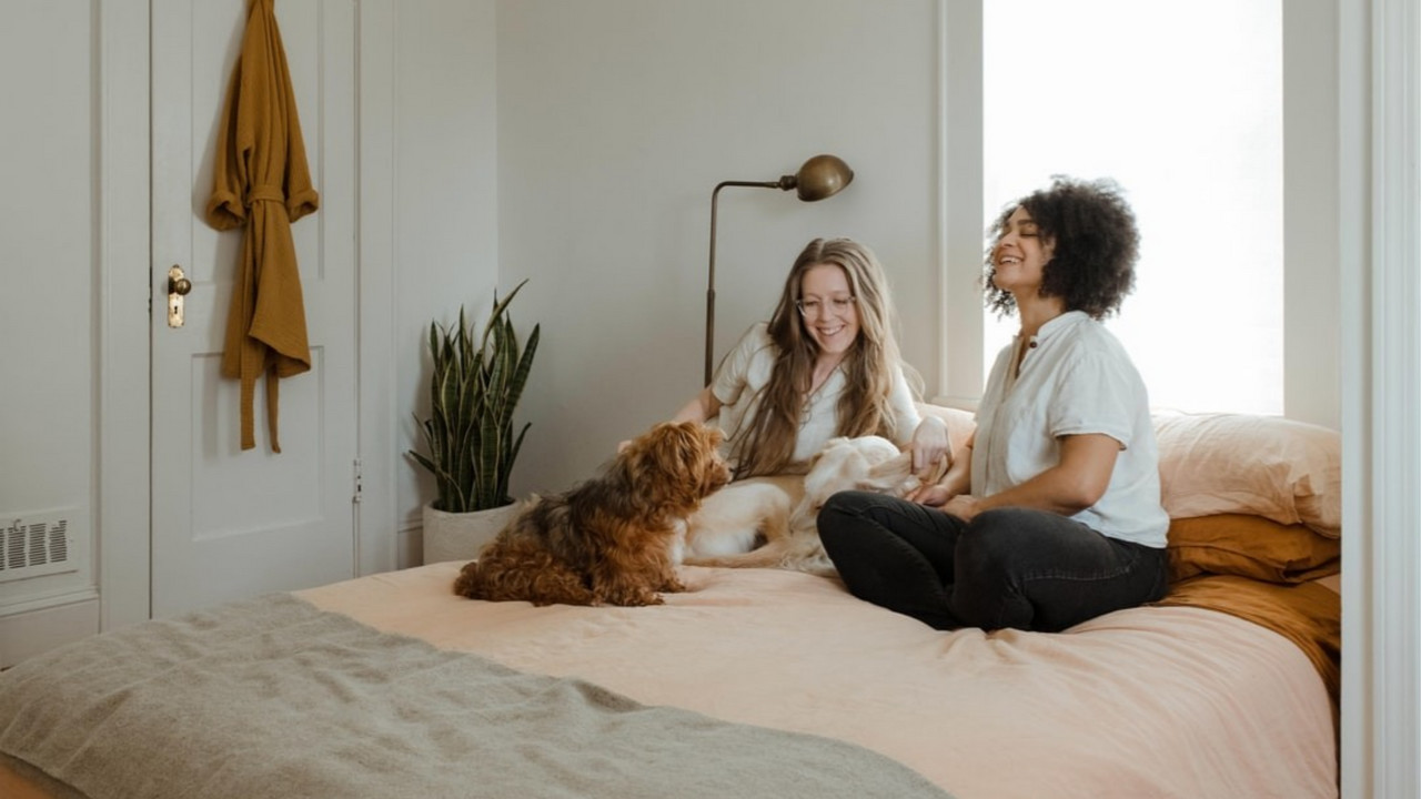 Indoor Air Quality with Pets