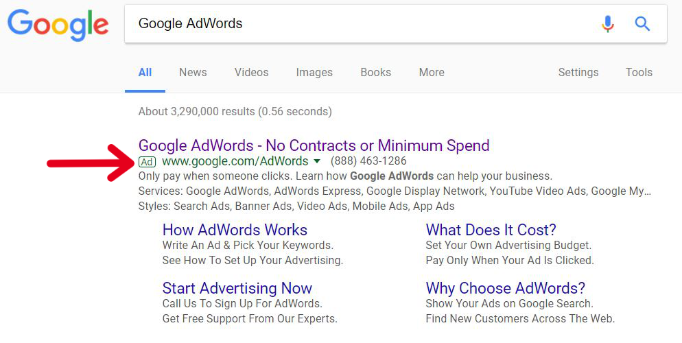 Screenshot of a Google Ad Done by Google AdWords