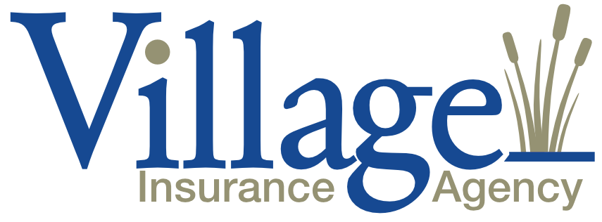 Village Insurance